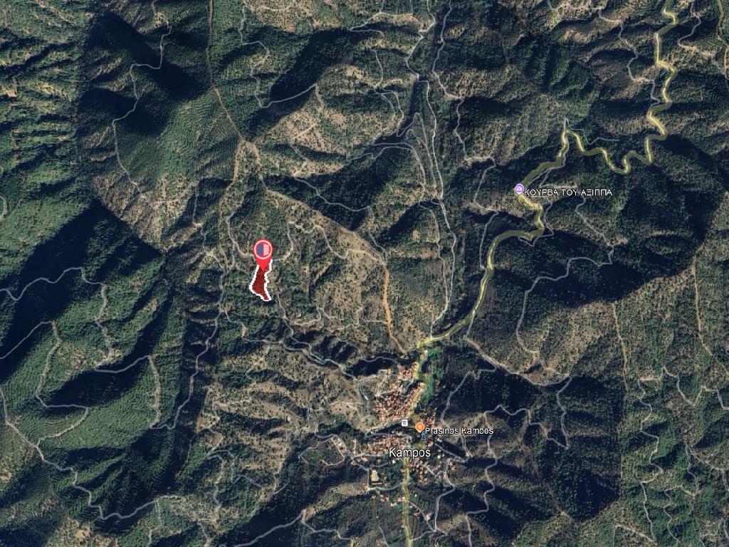 Field - Kampos, Nicosia