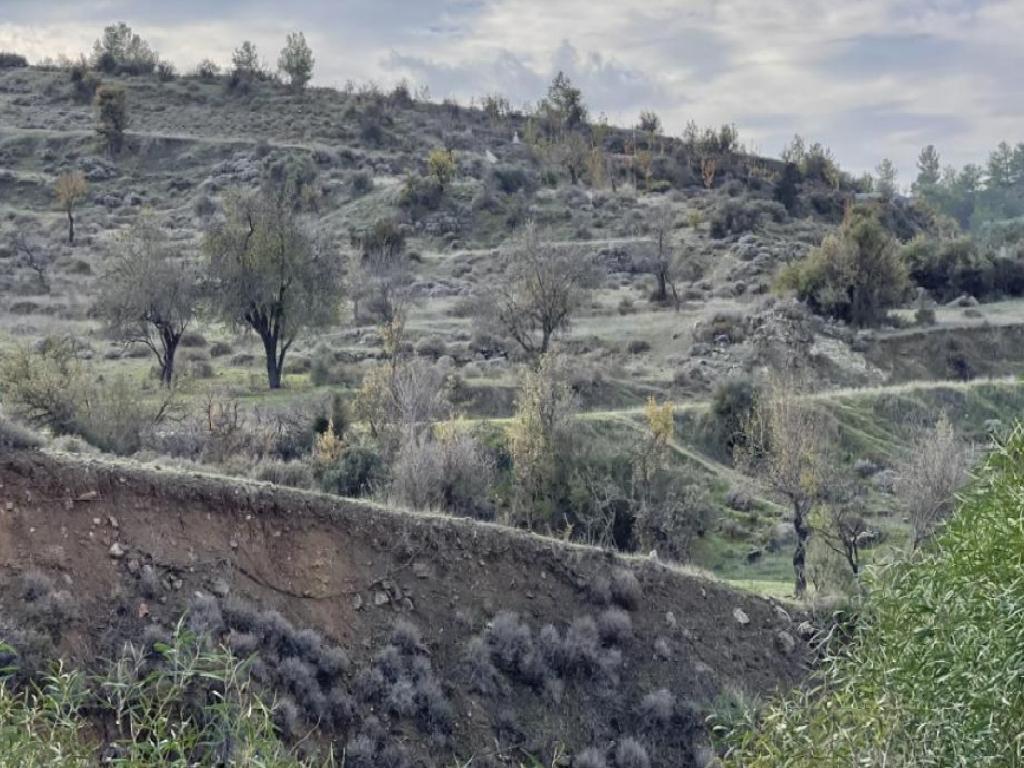 Field-Agia Marina (Xyliatou)-PR41882