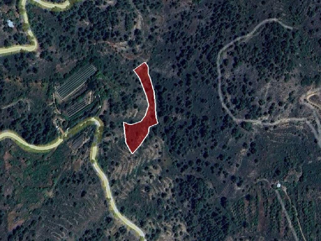 Field-Palaichori Orinis-PR42261