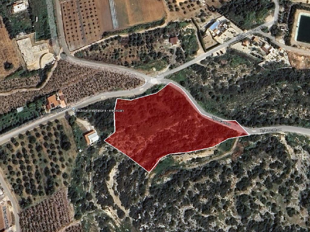 Field-Pegeia-PR43435