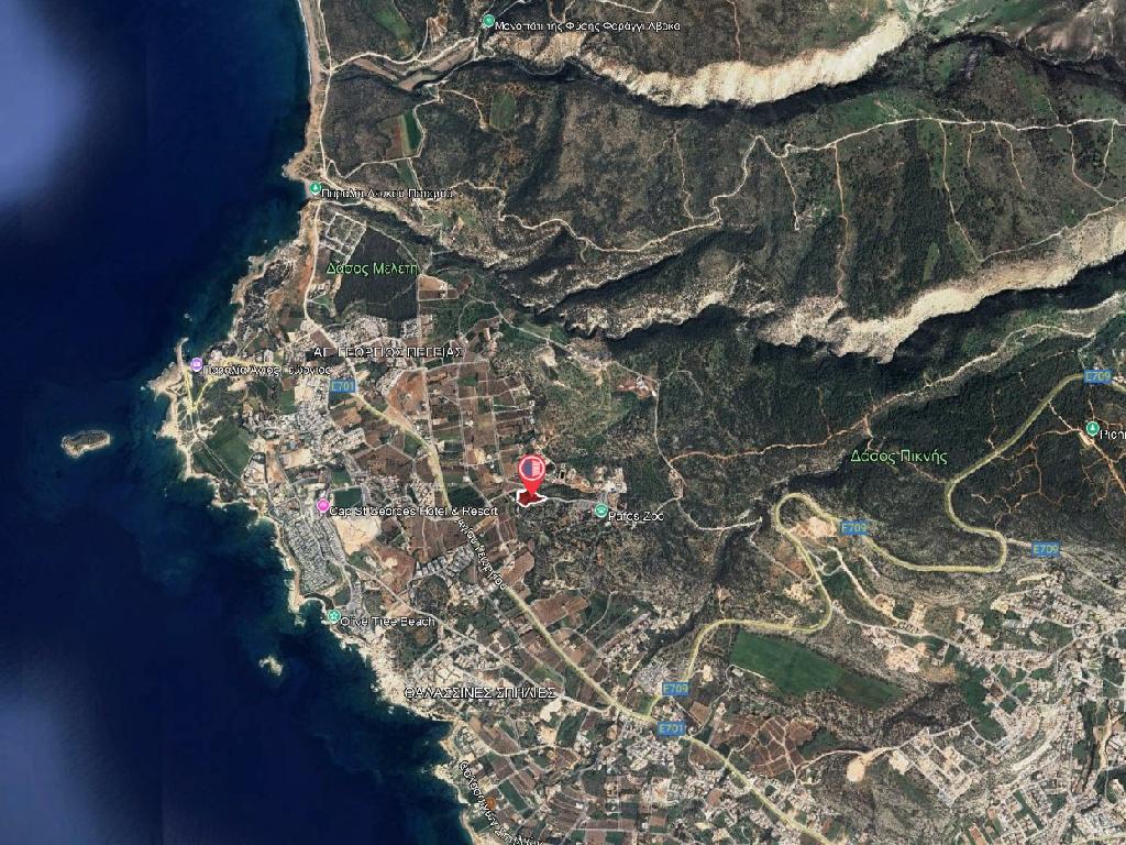 Field-Pegeia-PR43435