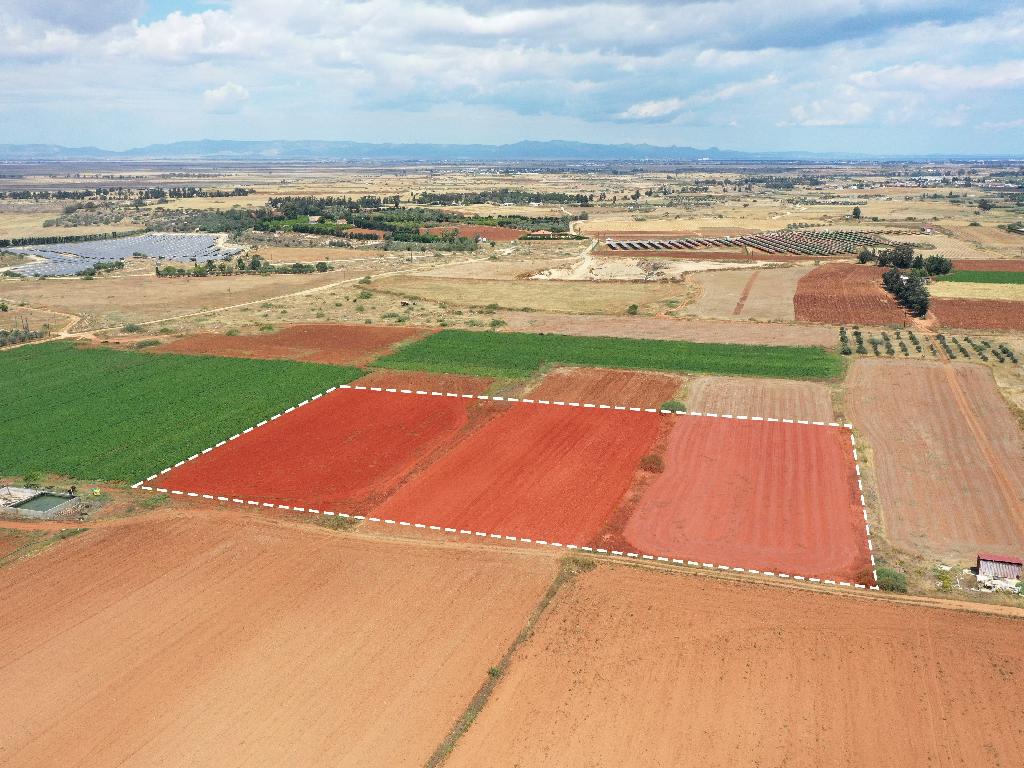 Field-Avgorou-PR14948