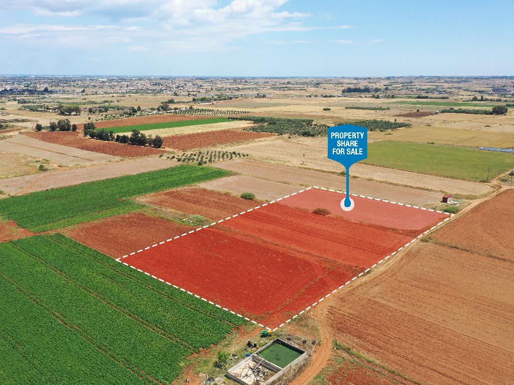 Field-Avgorou-PR14948
