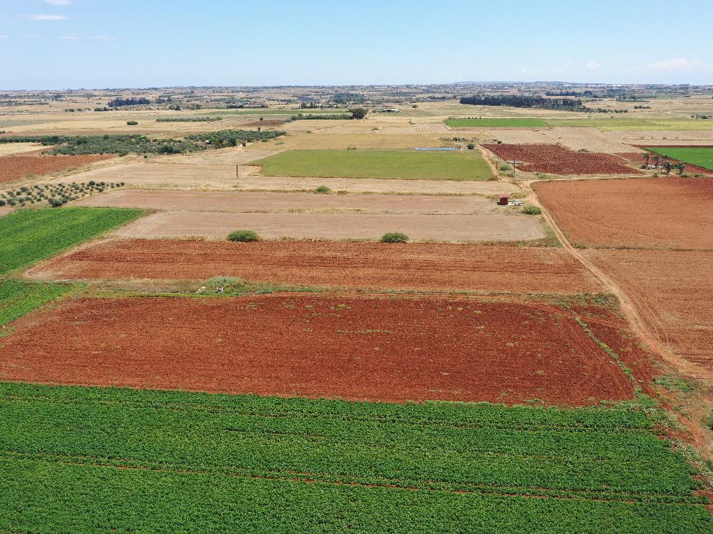 Field-Avgorou-PR14948