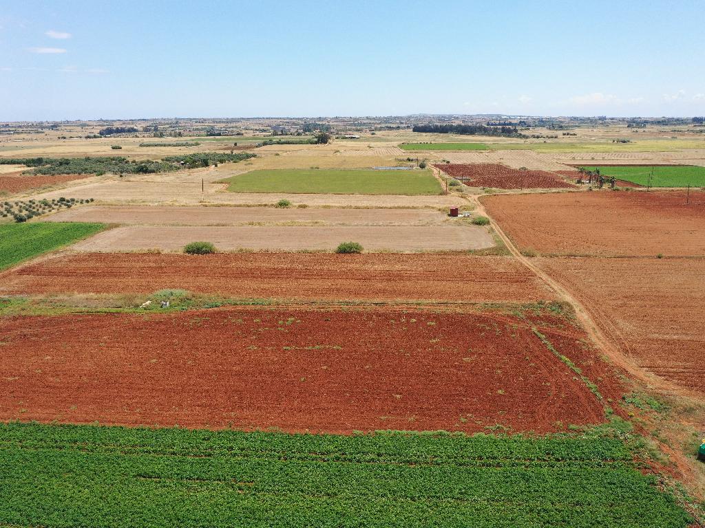 Field-Avgorou-PR14948