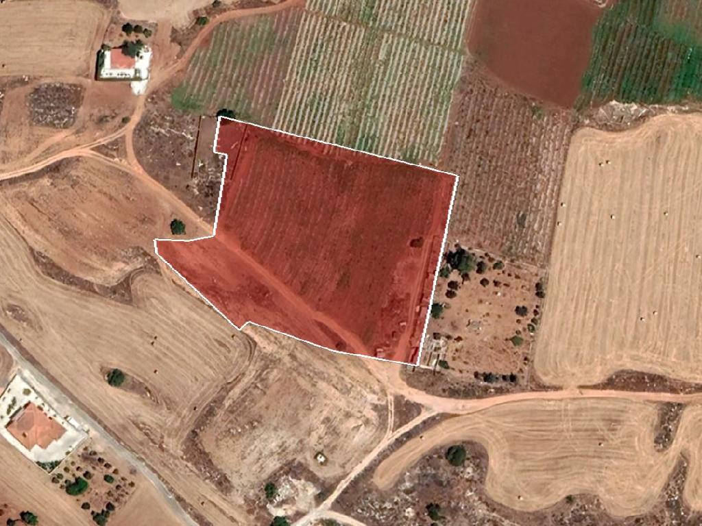 Field-Paralimni-PR34446