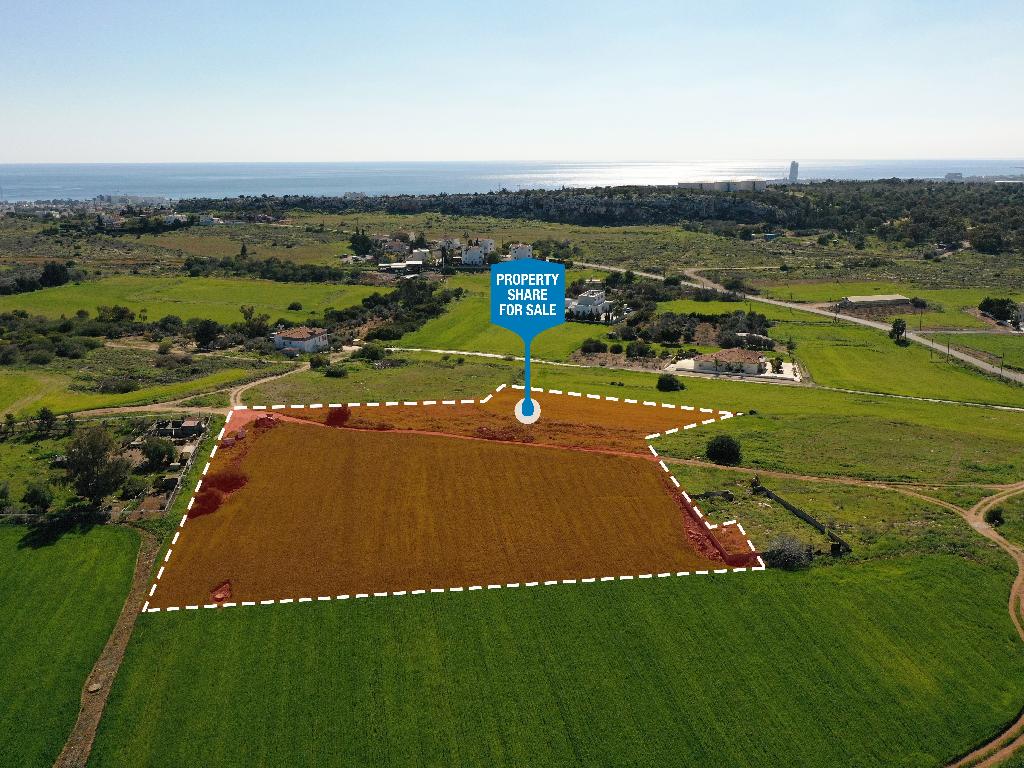 Field-Paralimni-PR34446