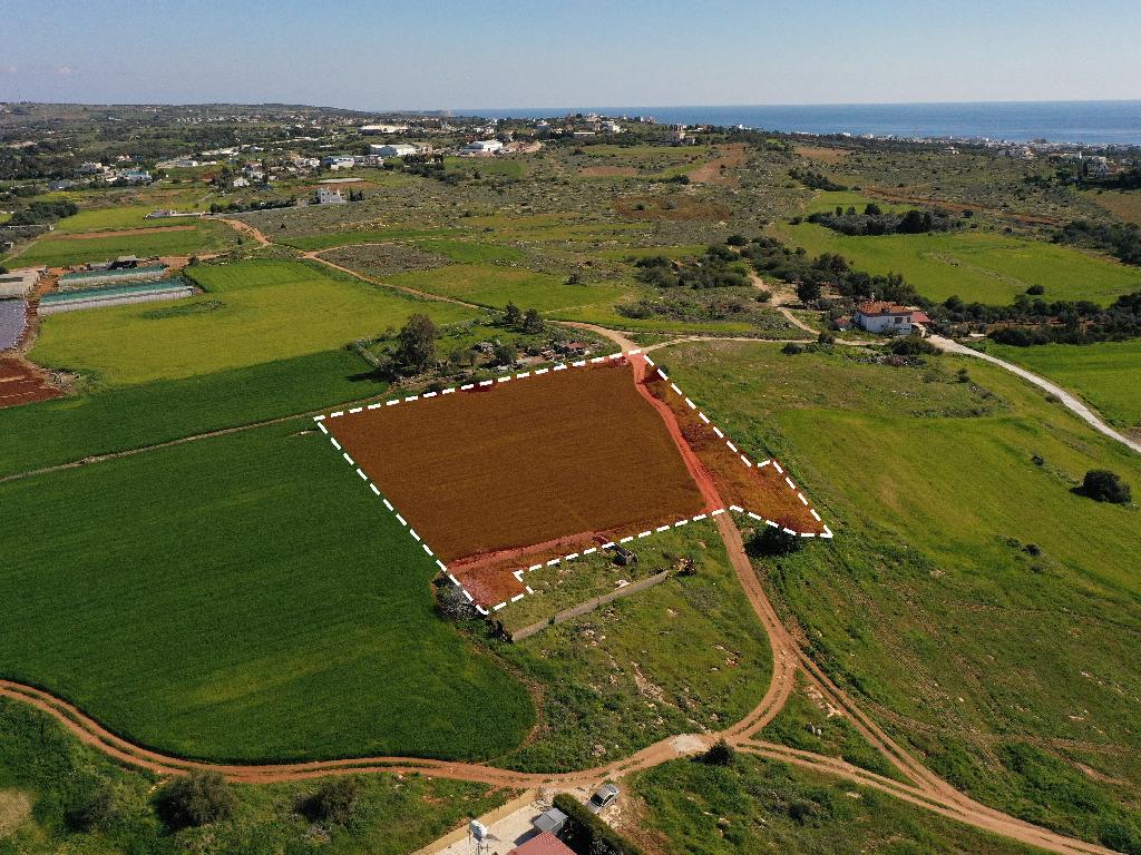 Field-Paralimni-PR34446