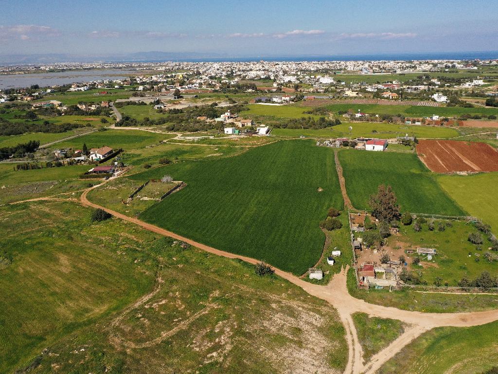 Field-Paralimni-PR34446