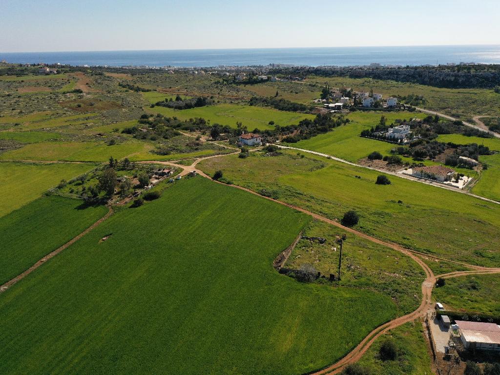 Field-Paralimni-PR34446