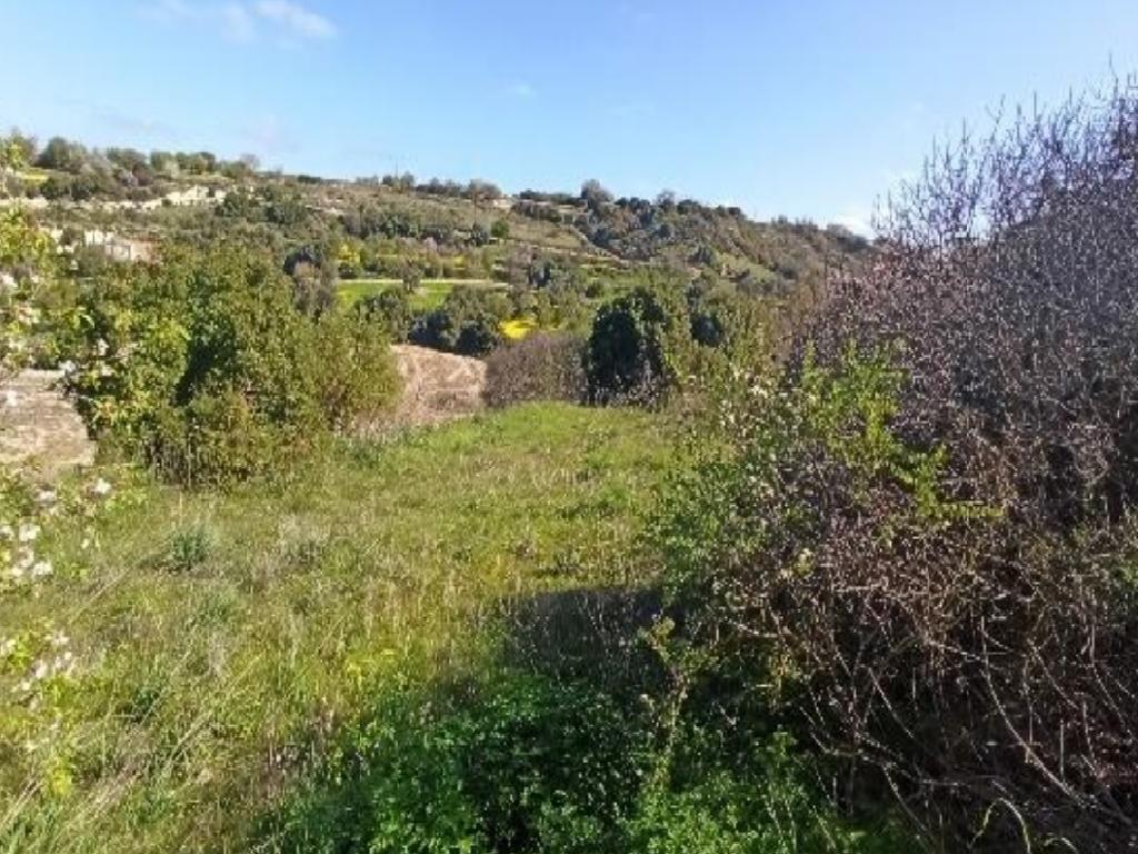 Field-Drymou-PR36563