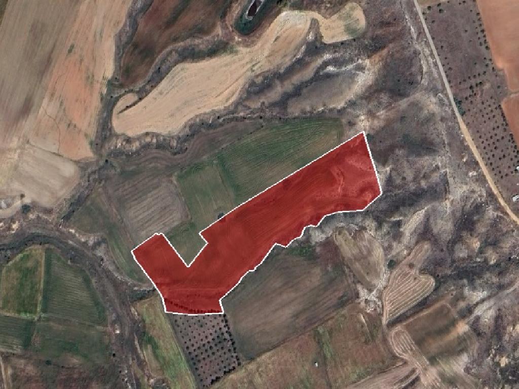 Field-Pano Deftera-PR37304