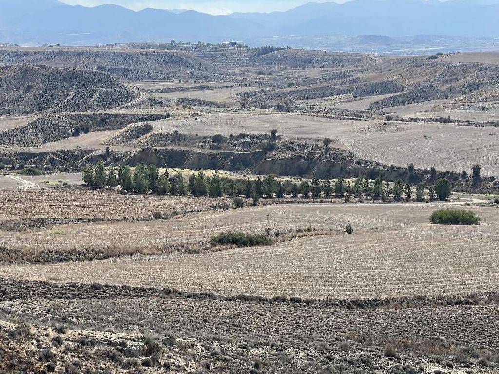 Field-Pano Deftera-PR37304