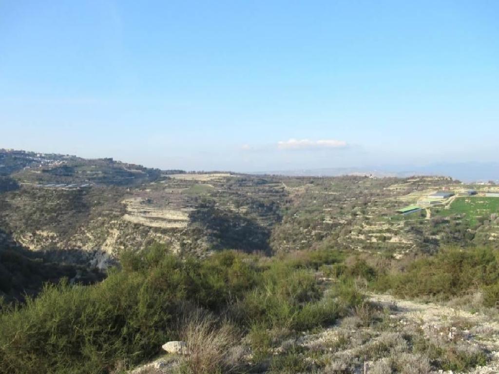 Field-Kallepeia-PR38748