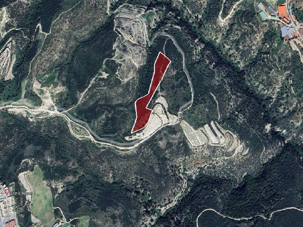 Field-Kallepeia-PR38748