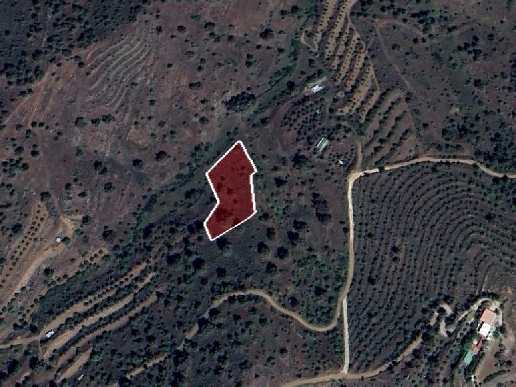 Field-Agios Epifanios (Oreinis)-PR40174
