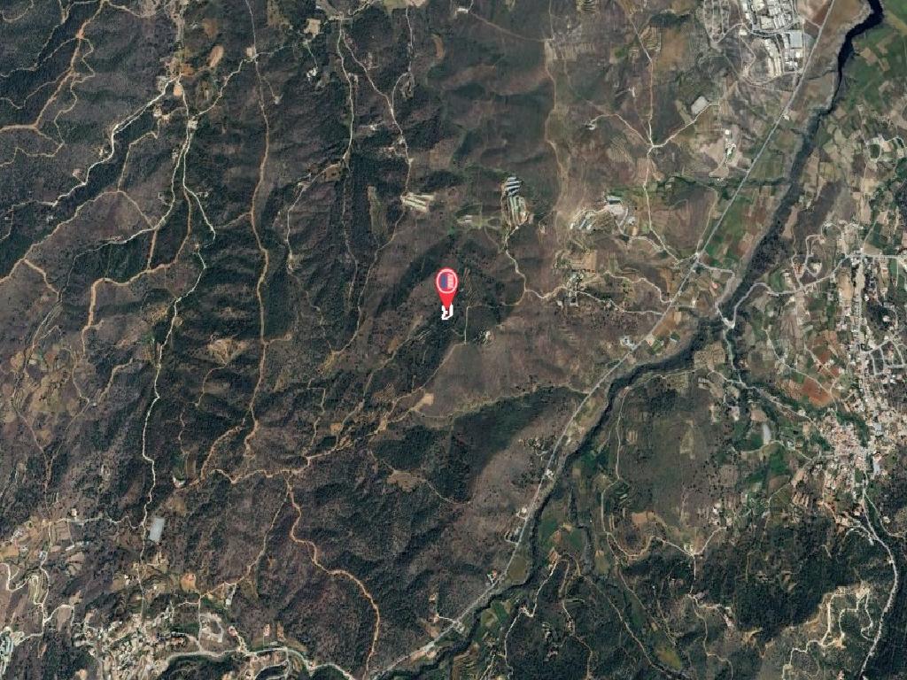 Field-Agios Epifanios (Oreinis)-PR40174