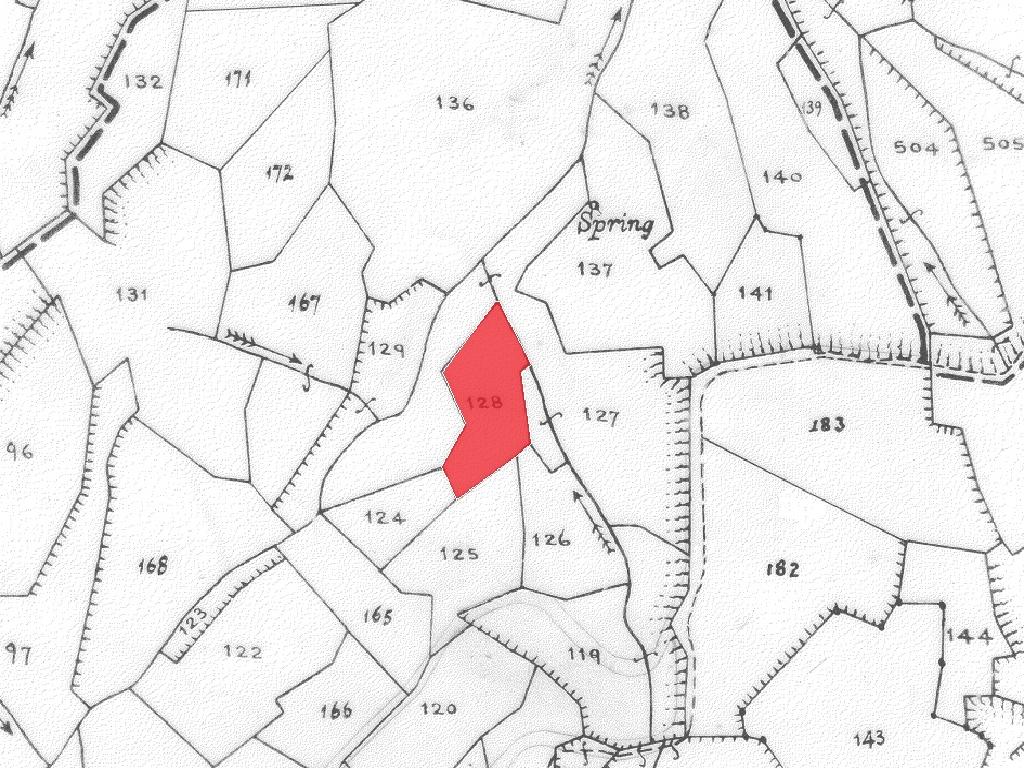 Field-Agios Epifanios (Oreinis)-PR40174