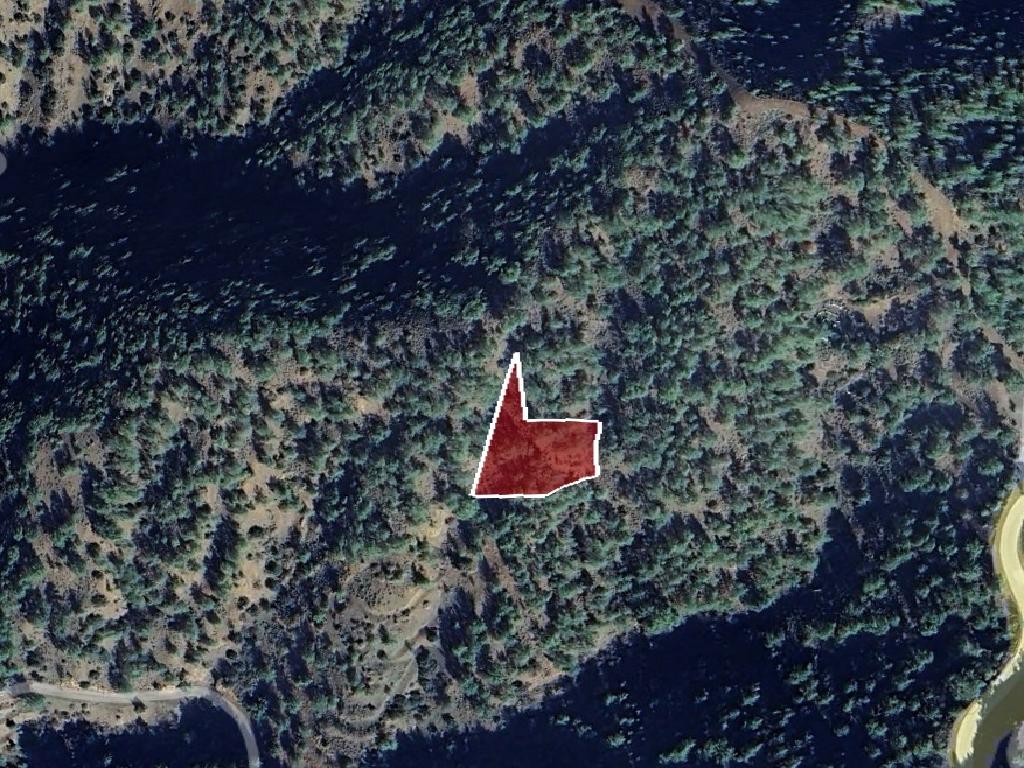 Field-Kampos-PR40597
