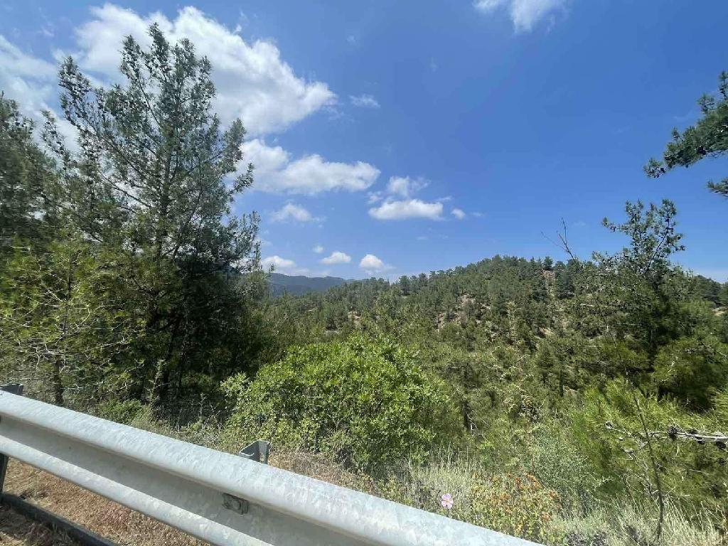 Field-Kampos-PR40597