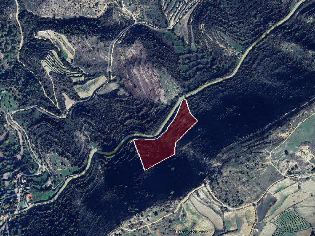 Field-Mousere-PR41659