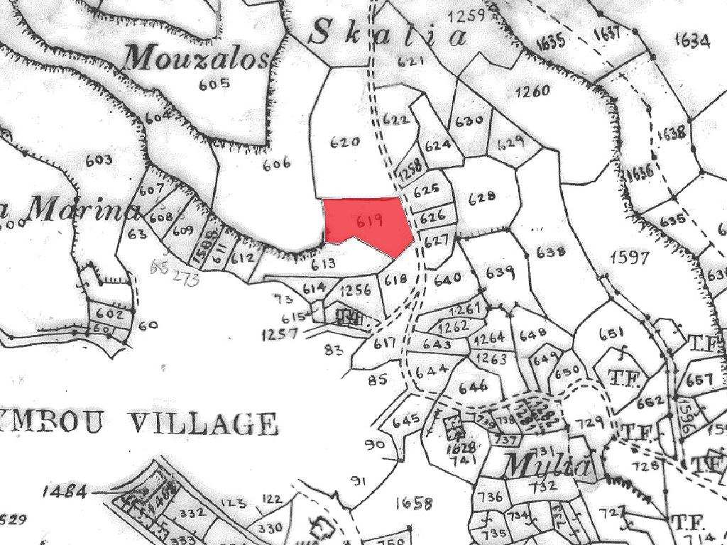 Field-Letymvou-PR41855