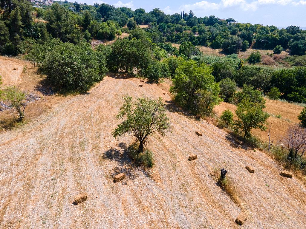 Field (Share) - Lysos, Paphos