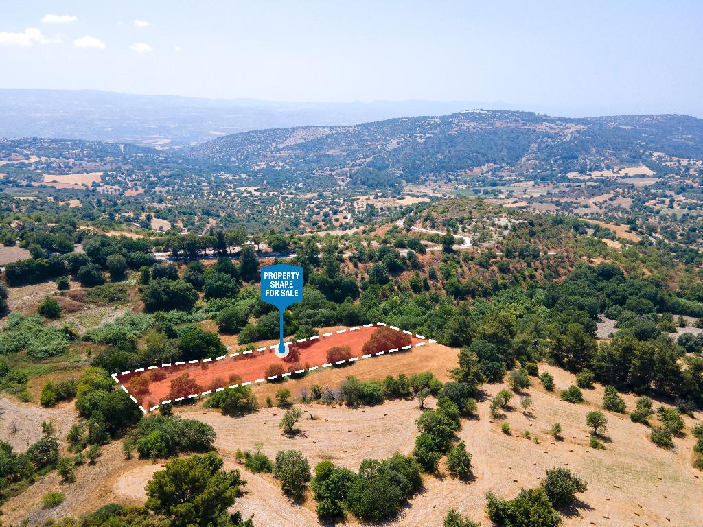 Field (Share) - Lysos, Paphos