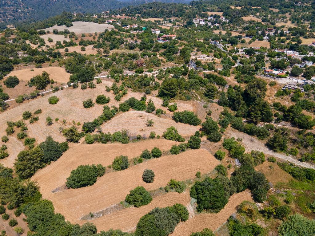 Field (Share) - Lysos, Paphos