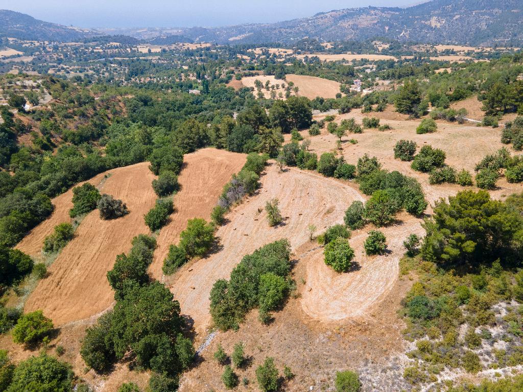 Field (Share) - Lysos, Paphos