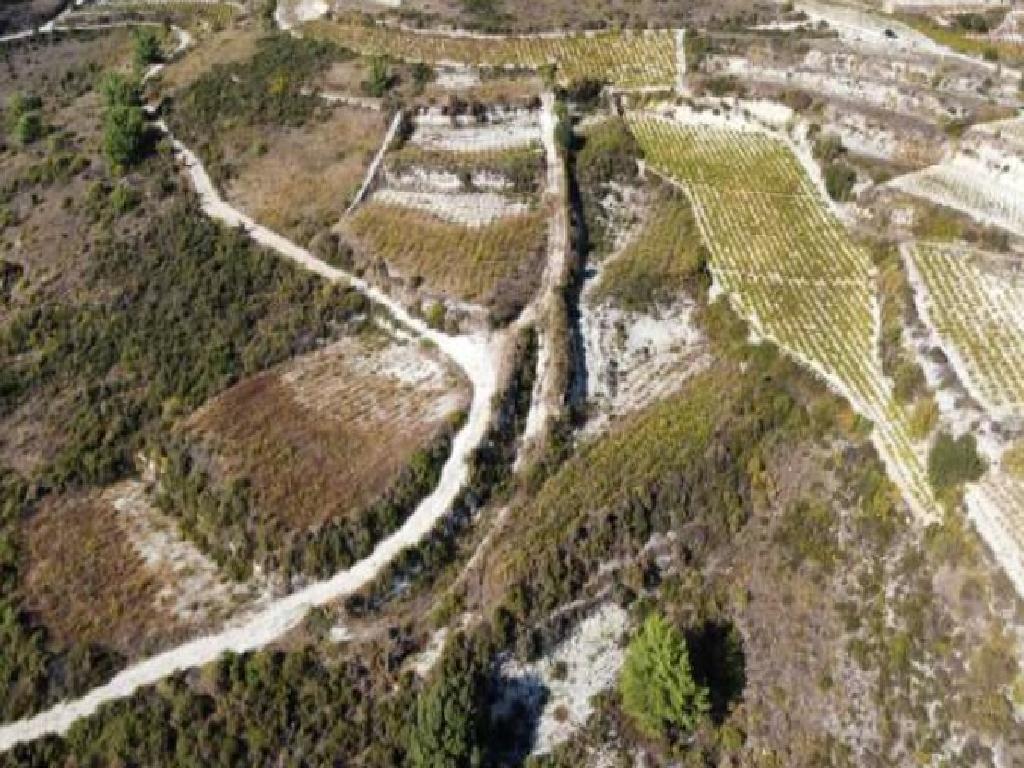 Field - Arsos, Limassol