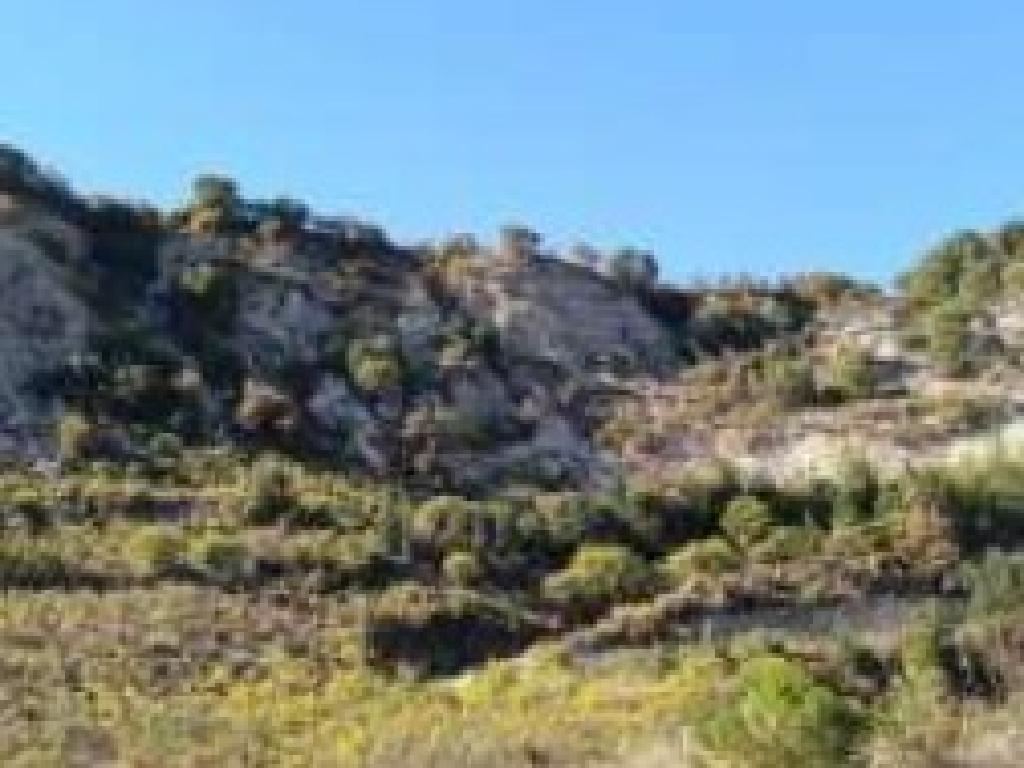 Field - Arsos, Limassol