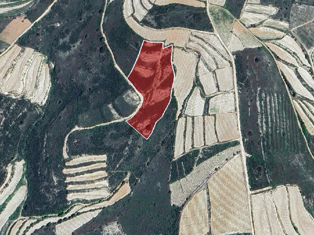 Field - Arsos, Limassol