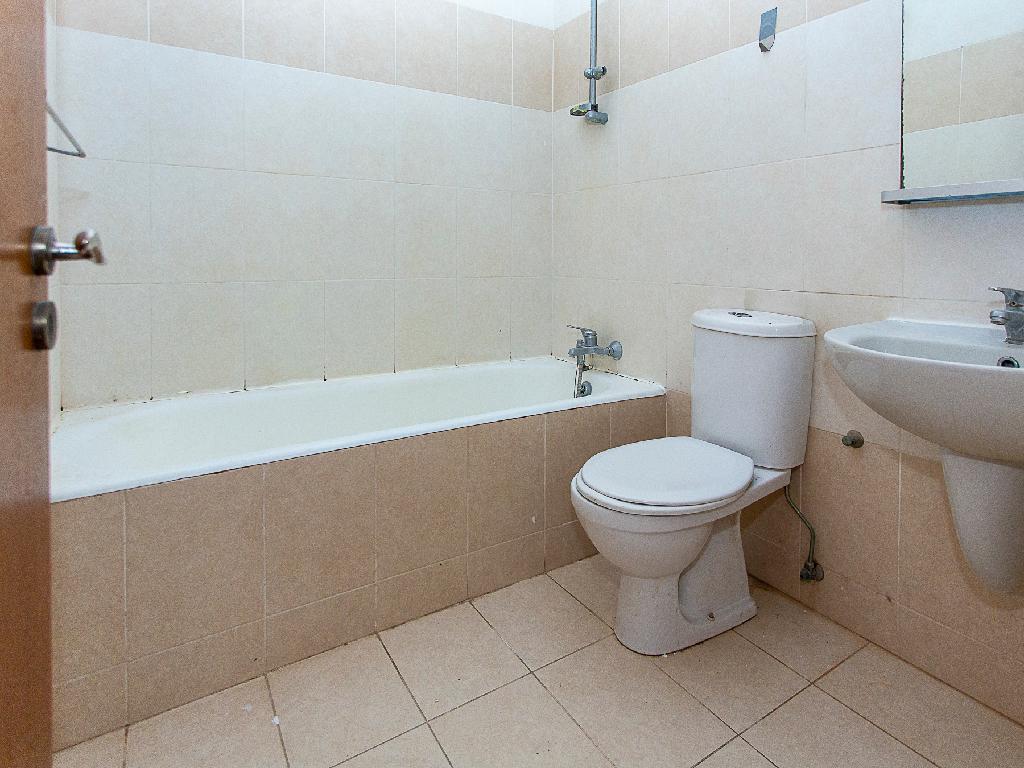 Flat-Pegeia-PR45509