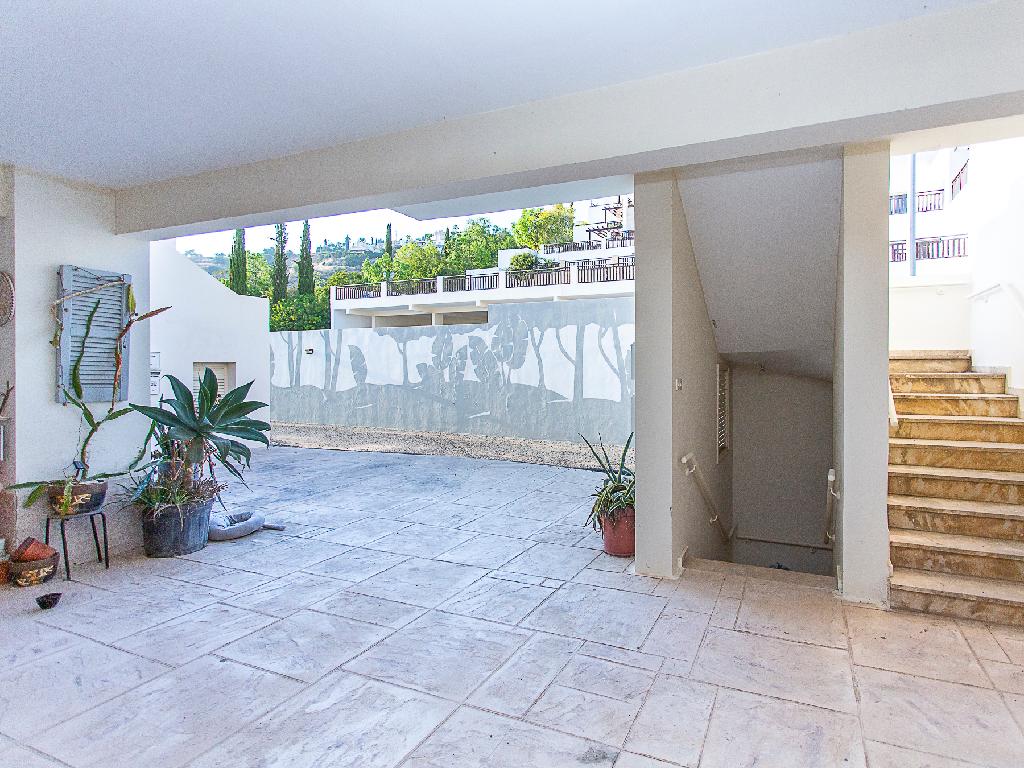 Flat-Pegeia-PR45509