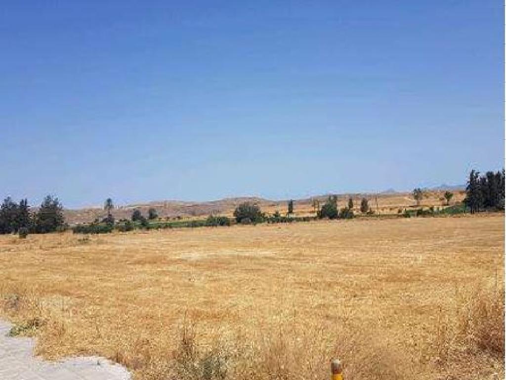Field-Potamia-PR14485