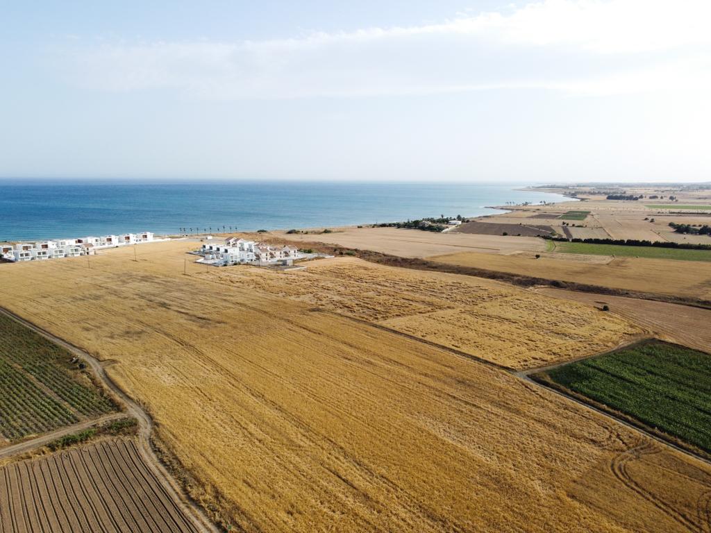 Field (Share) - Softades, Larnaca