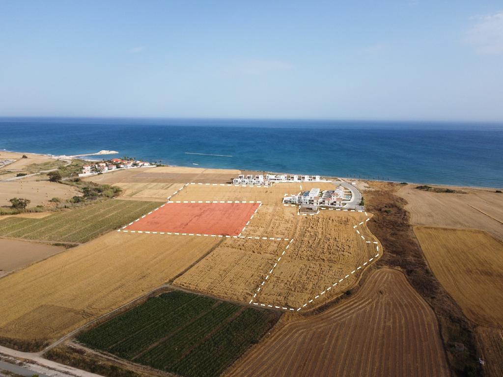 Field (Share) - Softades, Larnaca