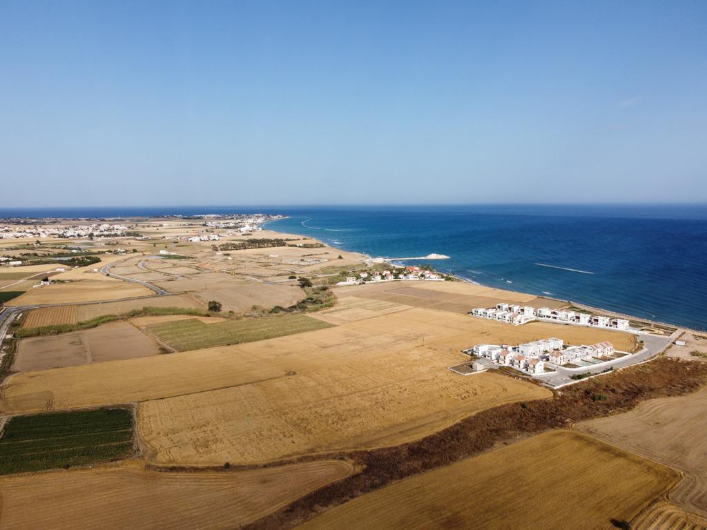 Field (Share) - Softades, Larnaca