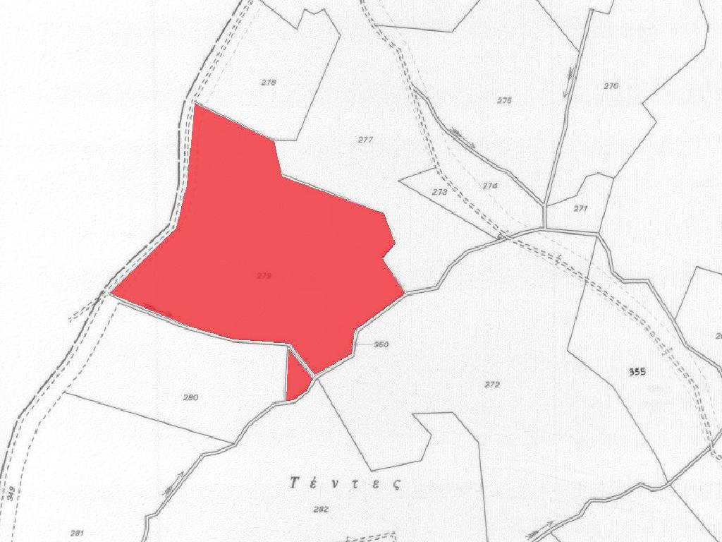 Field-Pigenia-PR33921