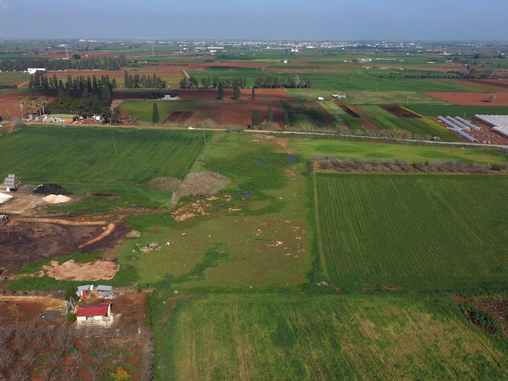 Field - Ormideia, Larnaca