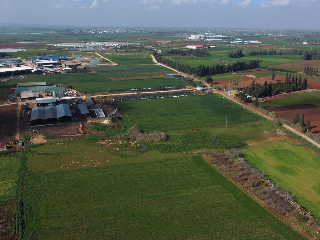 Field - Ormideia, Larnaca