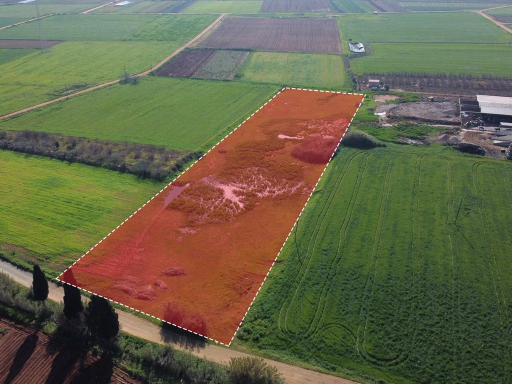 Field - Ormideia, Larnaca