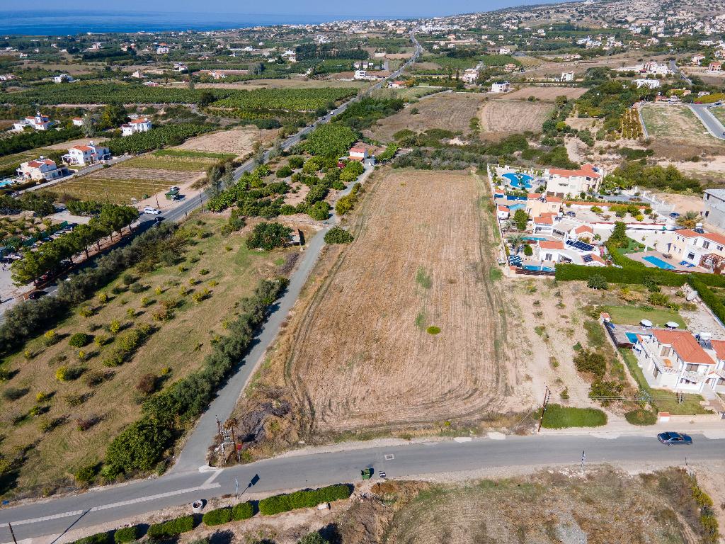 Field  (Share)- Pegia Municipality, Paphos