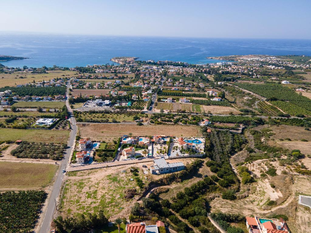 Field  (Share)- Pegia Municipality, Paphos