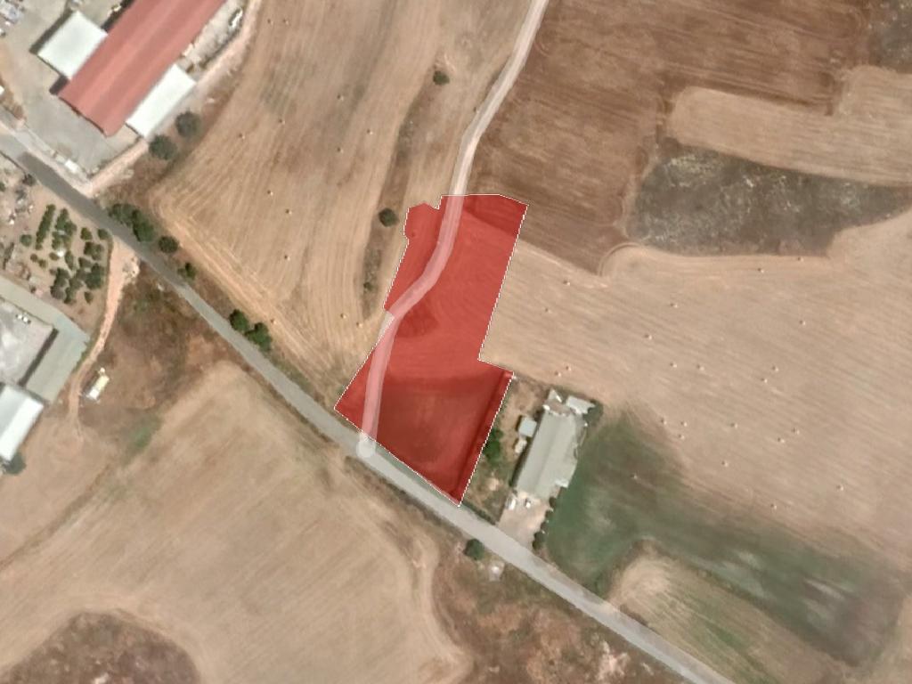 Field-Paralimni-PR36226
