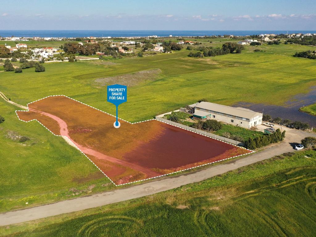 Field-Paralimni-PR36226