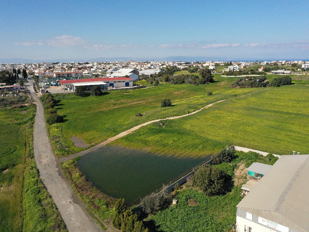 Field-Paralimni-PR36226