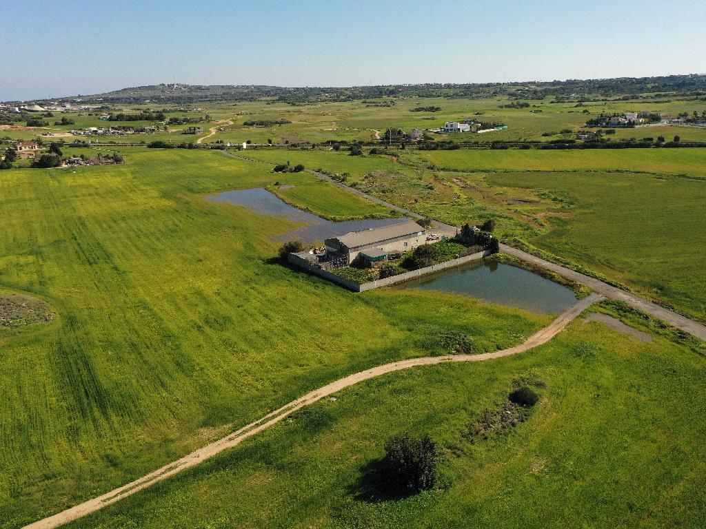 Field-Paralimni-PR36226