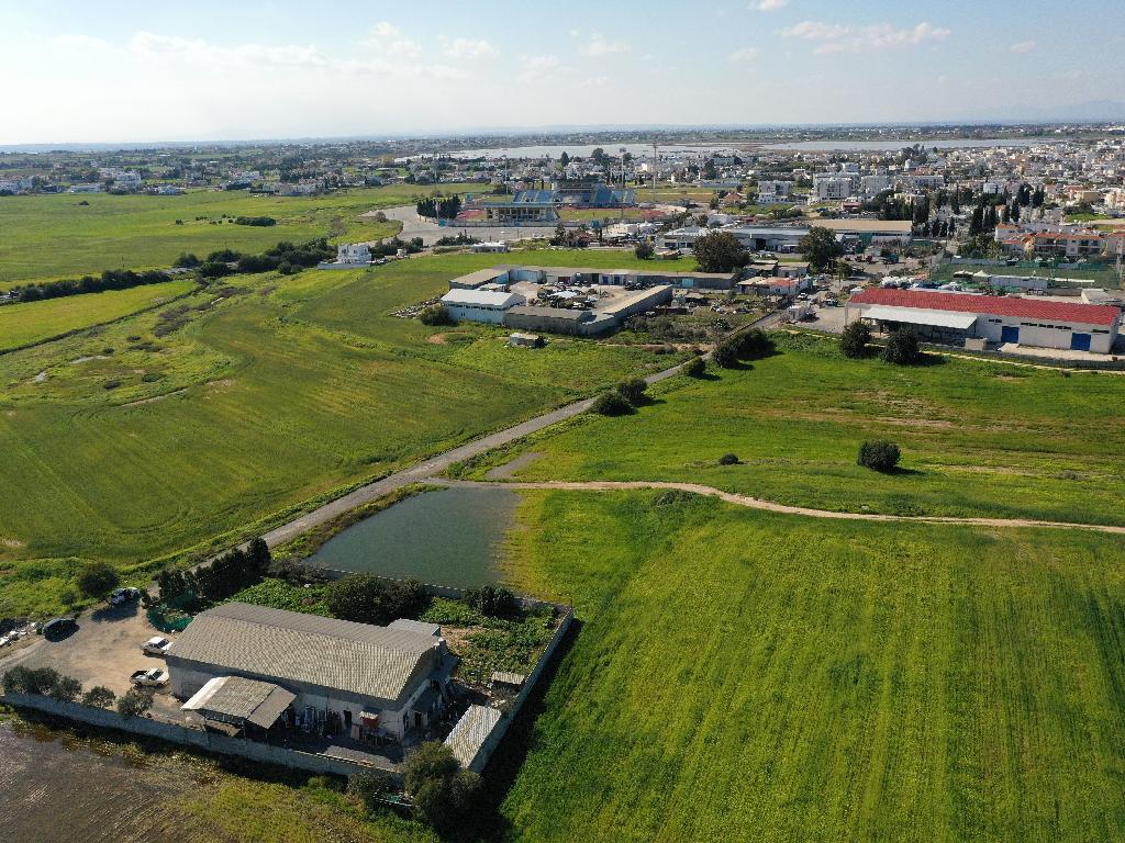 Field-Paralimni-PR36226